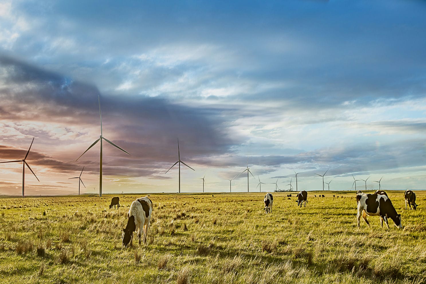 1704_108855_13Mar2024104558_Mt Gellibrand Wind Farm