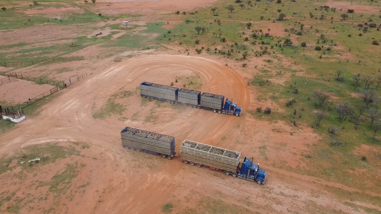 1785_108855_22Oct2025123342_LBRCA_photo