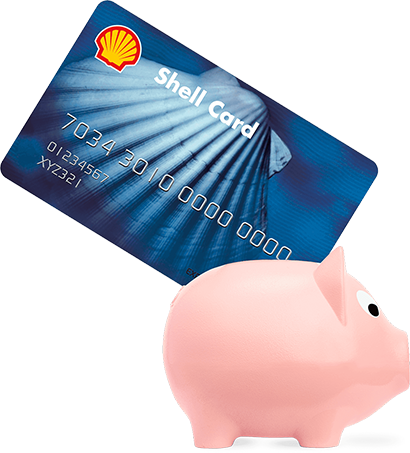 Shell Card Pig